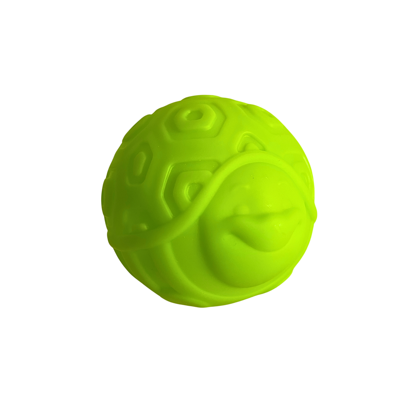 Animal Sensory Balls | Sensory balls 